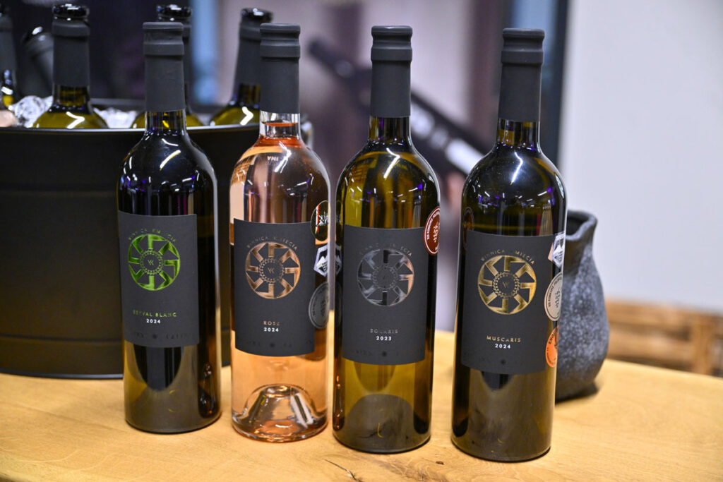 Wielkie Motoryzacyjne Show Karoliny Pilarczyk podczas którego podsumowaliśmy sezon 2025, przedstawiliśmy Sponsorów i plany na sezon 2026